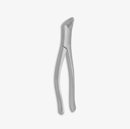 151 Forceps