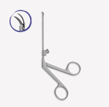 Bellucci Scissors