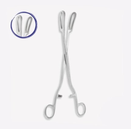 Bierer Forceps