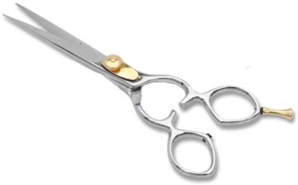 Professional Barber Scissor