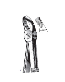 Extracting Forcep Fino