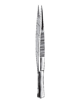 Splinter Forcep