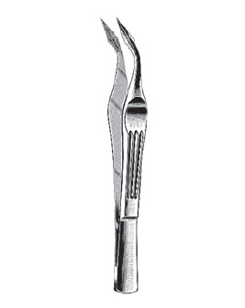 Splinter Forcep