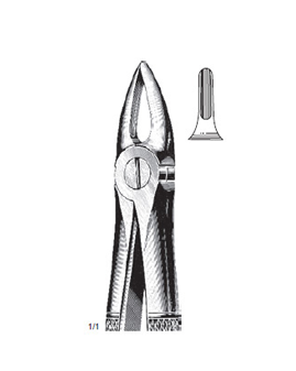 Extracting Forcep Fino