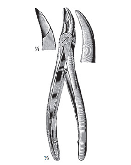 Bone Cutter